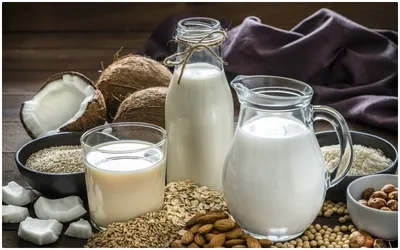 world milk day 2024   জেনে নিন দুধ সম্পর্কে অজানা যাবতীয় তথ্য