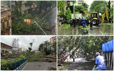 cyclone rimal জীবন কেড়েছে ৩ শত গাছের  ৫গুণ ক্ষতিপূরণ চায় শহর কলকাতা