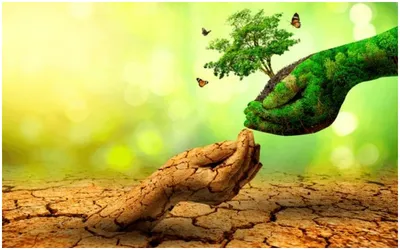 world environment day 2024   জেনে নিন পরিবেশ বাঁচাতে কী করণীয়  